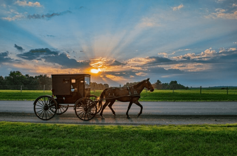 What language do the Amish people speak? Christian Faith Guide
