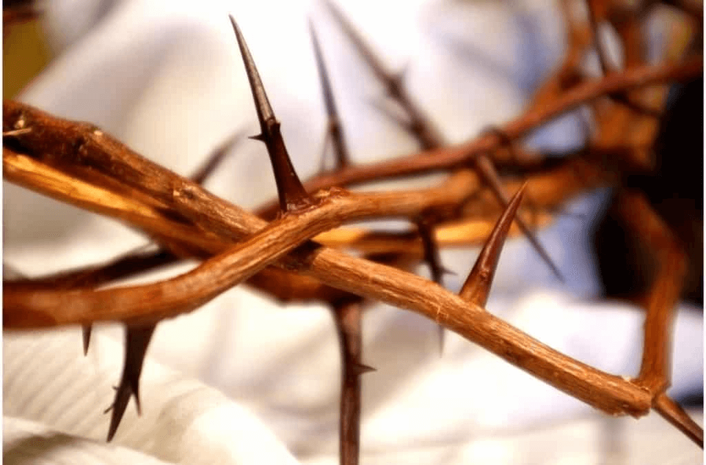 Do Lutherans Celebrate Lent Christian Faith Guide