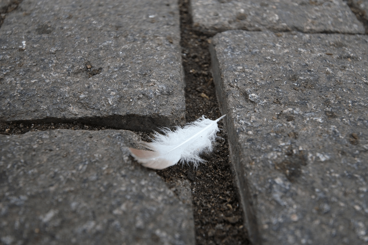 White Feather Meanings in the Bible Christian Faith Guide
