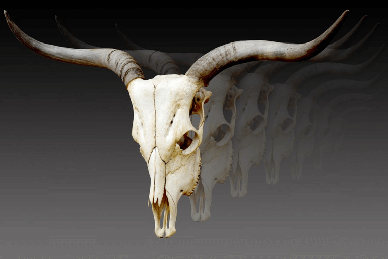 What does the horn symbolize in the Bible? Christian Faith Guide