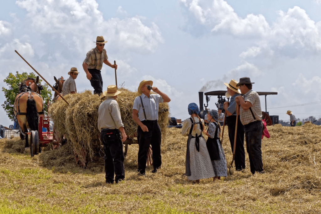 How many Mennonites are there (is the Mennonite population growing