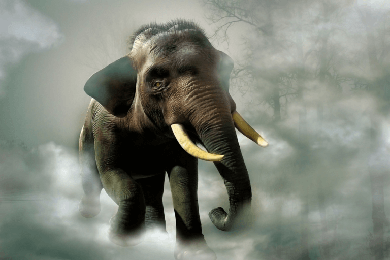 Spiritual Meaning of Elephant in a Dream Christian Faith Guide
