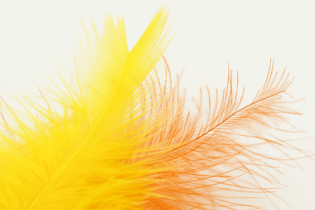 Spiritual Meanings of finding a yellow feather Christian Faith Guide