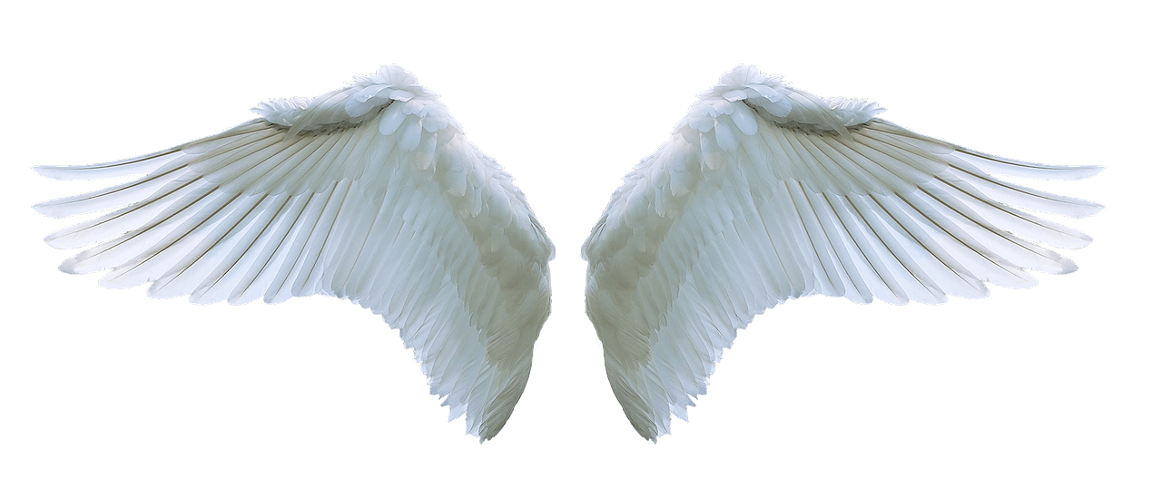 How Many Angels Are There in Heaven? Christian Faith Guide