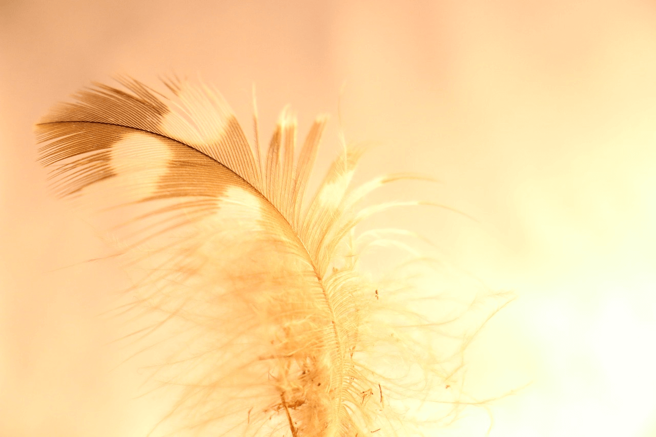 Spiritual Meanings of finding a yellow feather Christian Faith Guide