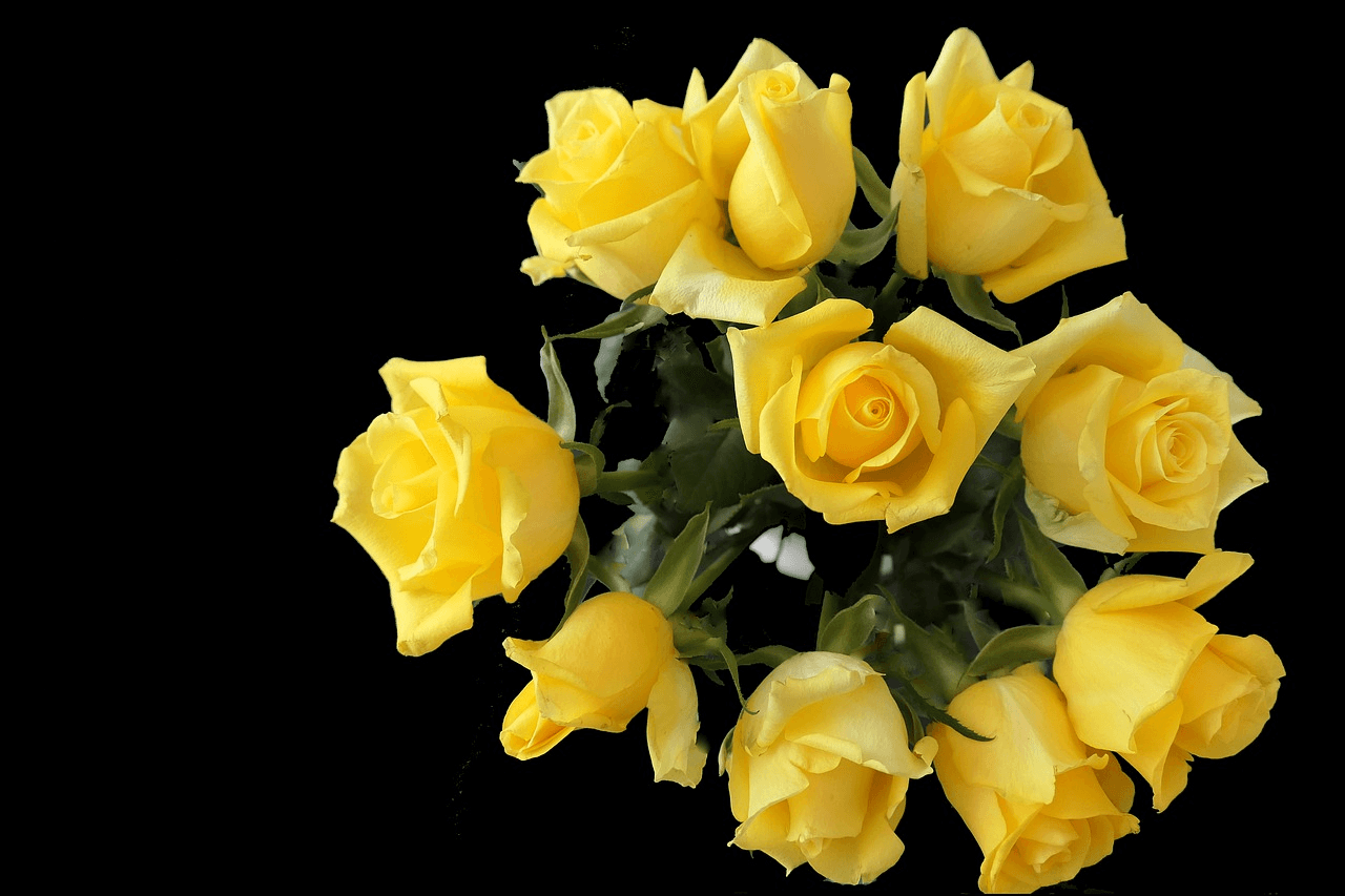 Biblical meaning of yellow flowers in a dream Christian Faith Guide